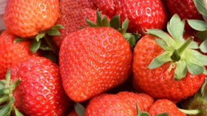 Erdbeeren sind noch Mangelware – und teuer