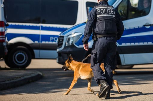 Zwei Polizeihunde sind in der Nacht zum Sonntag in Vaihingen an der Enz bei einem Einsatz beteiligt gewesen. (Symbolfoto) Foto: dpa