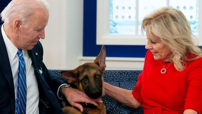 Nach Beißattacken: Joe und Jill Biden haben Hund Commander weggegeben