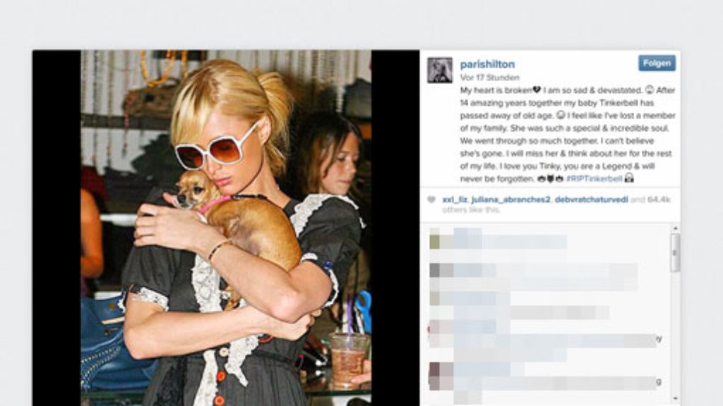 Paris Hilton: It-Girl trauert um Hündchen Tinkerbell