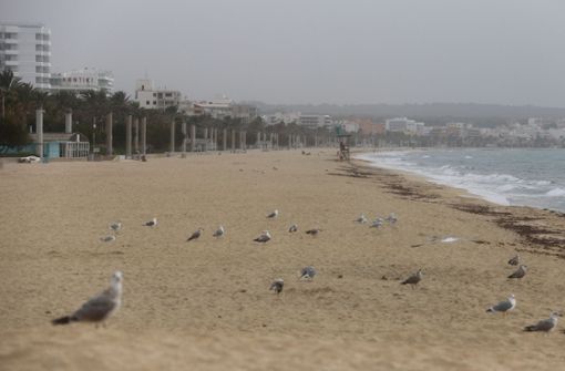 Vögel und Möwen am Strand von Arenal. Von Herbstferien ist auf Mallorca kaum etwas zu sehen. Die meisten Hotels sind zu, der Strand ist leer. Foto: dpa/Clara Margais