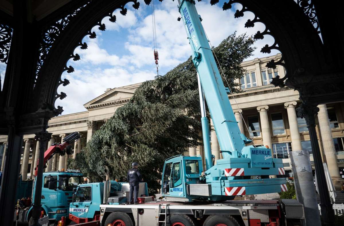 Ende November wird der zweite Weihnachtsbaum vor dem Rathaus aufgestellt. Dies ist wegen der Baustelle am Marktplatz momentan noch nicht möglich.