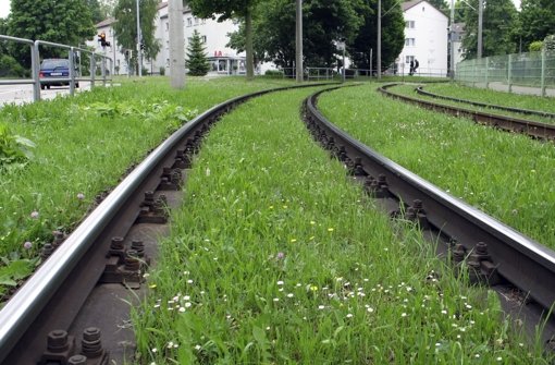 Grüne Stadtbahngleise rufen manch Ärger über die Grünen hervor. Foto: Archiv