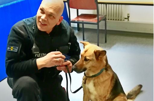 Polizeihundeführer Volker Jühlke mit der ausgebüxten Hundedame. Foto: Bundespolizei