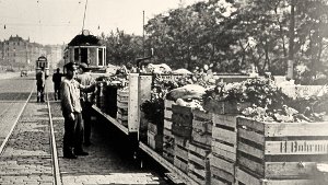 Von der Straßenbahn gezogener Gemüsetransporter während des Zweiten Weltkriegs, circa 1942, in der heutigen Konrad-Adenauer-Straße Foto: Archiv Stuttgarts historische Straßenbahnen