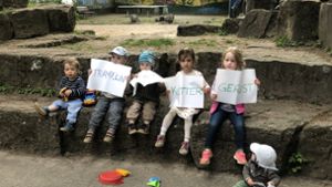 Spielen in Steinhaldenfeld: Elterninitiative fordert neuen Spielplatz