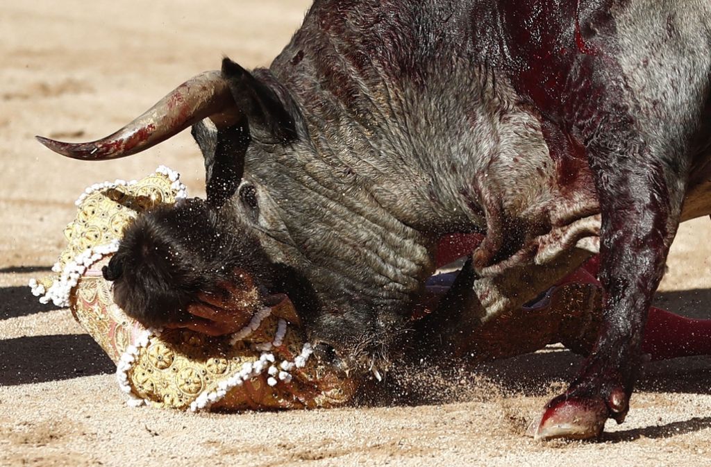 Dieser Torero hat den Stierkampf trotz Kollision mit dem Bullen überlebt. Foto: EFE