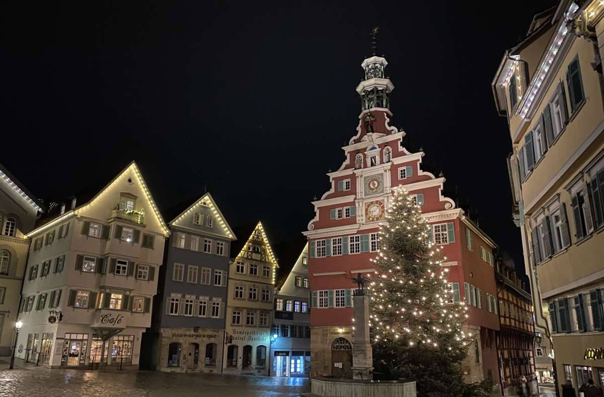Der diesjährige Weihnachtsbaum am Esslinger Rathaus hat stattliche Dimensionen. Foto: Eßlinger Zeitung/Ina Riedinger