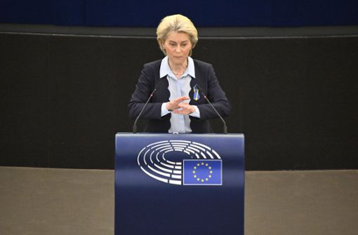 Die EU-Kommissionspräsidentin Ursula von der Leyen Foto: IMAGO/Future Image/IMAGO/Dwi Anoraganingrum