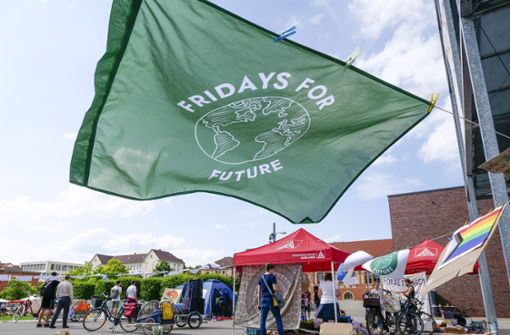 Die Fridays for Future-Aktivisten demonstrieren wieder in Ludwigsburg. Foto: Simon Granville/Simon Granville