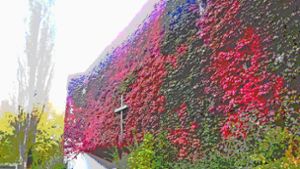 Die Vinzenz-Pallotti-Kirche zeigt sich dieser Tage noch einmal von ihrer schönsten Seite. Der Herbst hat ihr ein Festtagsgewand an die Fassade gemalt. Foto: Sägesser