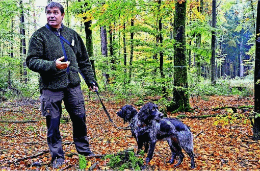 Förster Eckard Freist mit seinen Wachtelhunden kümmert sich um den Friedwald bei Pappenheim. Foto: privat