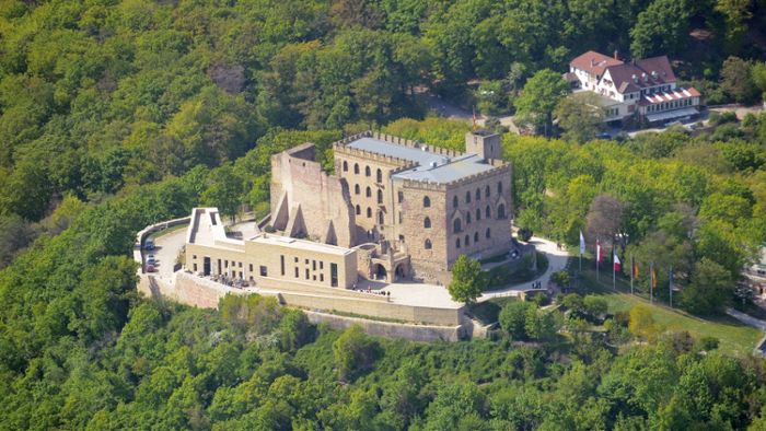 AfD-Tagung auf Hambacher Schloss erhitzt Gemüter