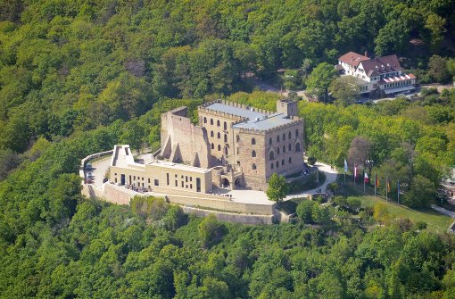 Die AfD will auf dem Hambacher Schloss über ihre künftige Arbeit beraten. Foto: dpa
