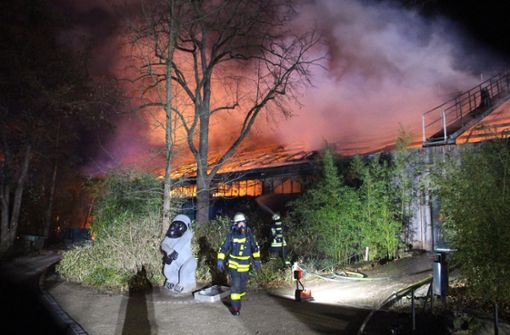 Bei dem Feuer im Affenhaus des Krefelder Zoos starben mehr als 30 Tiere. Foto: AFP/ALEXANDER FORSTREUTER