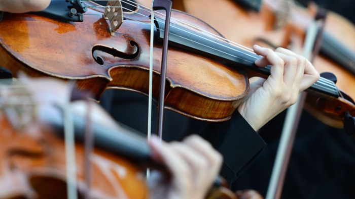 Polizei stellt 100.000-Euro-Geige bei 35-Jähriger sicher