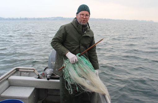Die Muscheln beschädigen auch die Netze der Fischer. Foto: Ulrich Fricker