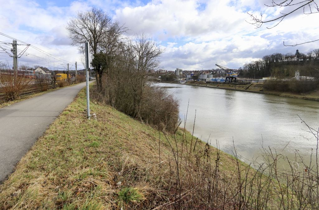 In diesem Bereich ist eine neue Neckarquerung vorgesehen, die Remseck vom Durchgangsverkehr entlasten soll. Foto: factum/Granville