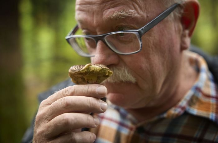 Pilzsuche im Schwäbischen Wald: Jagd nach dem König der Pilze