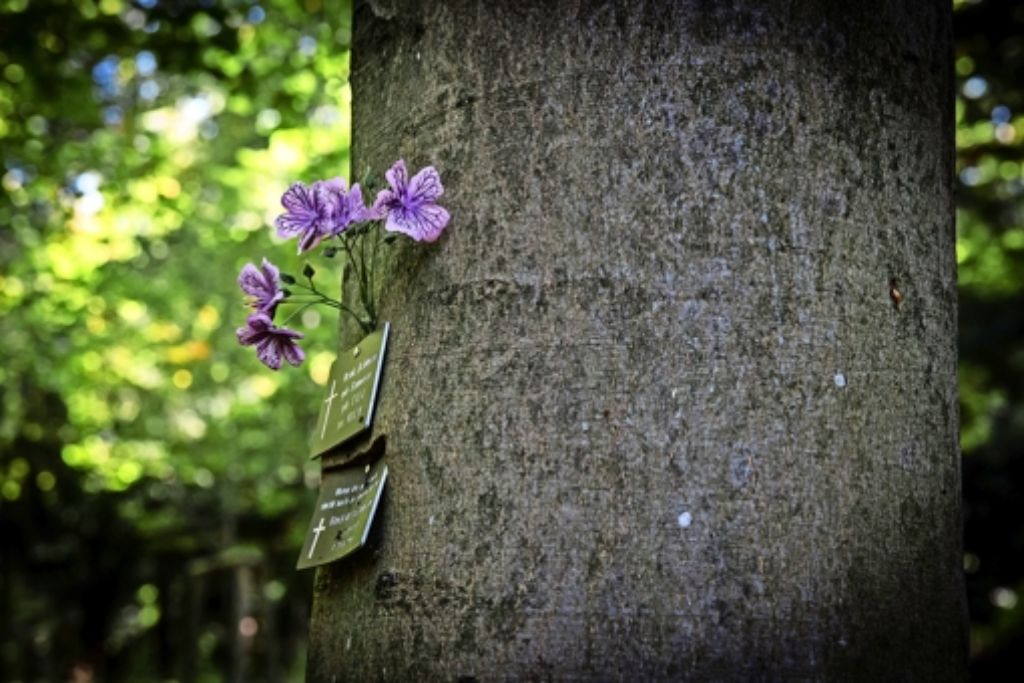 Baumgräber auf dem Waldfriedhof, geschmückt mit Blumen Foto: Lichtgut/ Zweygarth