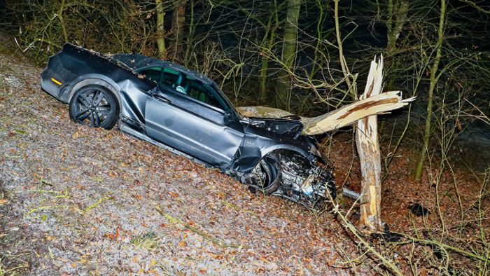 Fuchs ausgewichen – mit Ford Mustang gegen Baum gekracht