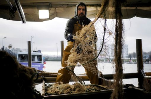 Ein Fischer reinigt ein Netz im Hafen von Boulogne-sur-Mer. Foto: dpa/Thibault Camus