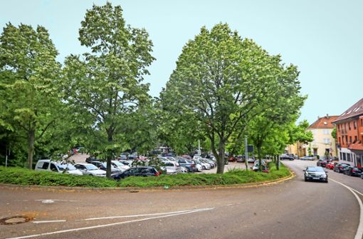 Park-and-Ride-Parkplatz unter  Bäumen:  Am Kallenberg’schen Areal wird gebaut, darum sollen die Autos  ebenso verschwinden wie das Grün Foto: factum/Granville