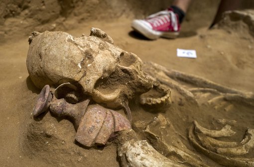 Blick in die biblische Geschichte: Überreste eines Skeletts, das  aus dem 11. bis 8. vorchristlichen Jahrhundert stammt. Foto: dpa