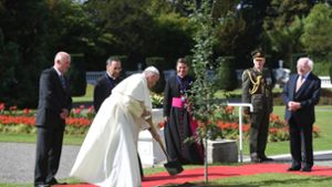 Papst erkennt Missbrauch als „schweren Skandal“ an