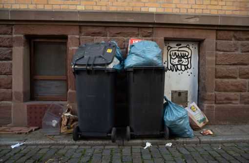 Nur etwa ein Drittel des entsorgten Mülls gehört nach den Ergebnissen der Studie auch wirklich in den Restmüll. Foto: Lichtgut/Leif-Hendrik Piechowski