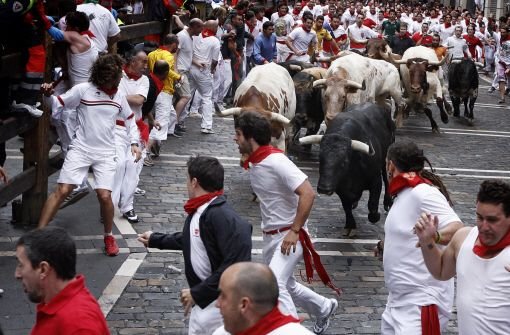 Bei der jährlich stattfindenden Stierhatz werden zwischen dem 7. und dem 14. Juli Stiere durch die Altstadt Pamplonas gejagt. Die Tiere ... Foto: dapd