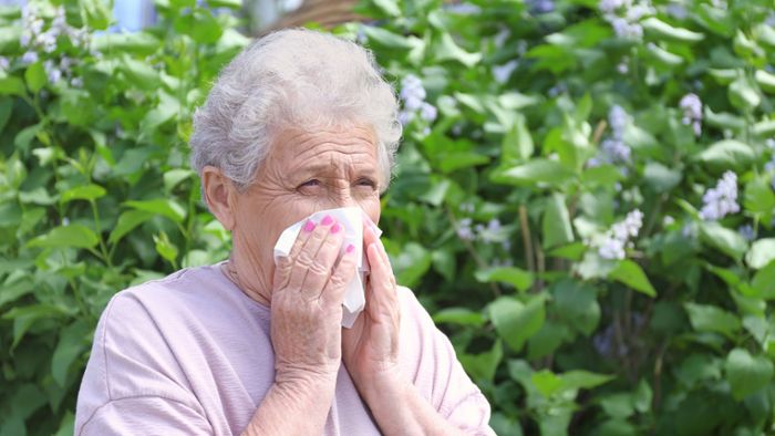 Immer mehr Senioren leiden unter Heuschnupfen