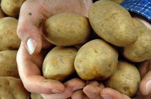 Kartoffel Foto: Marketinggesellschaft der niedersächsischen Land- und Ernährungswirtschaft