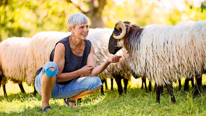 Eine Bäuerin, die mit den Schafen schwätzt