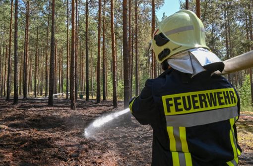 Die Waldbrandgefahr im Südwesten steigt. (Symbolbild) Foto: dpa/Patrick Pleul