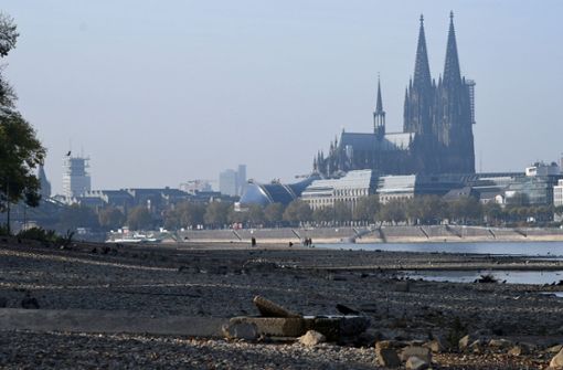 Das Niedrigwasser im Rhein bereitet der Schifffahrt Probleme. Ein Tanker läuft in Köln auf Grund (Symbolbild). Foto: dpa