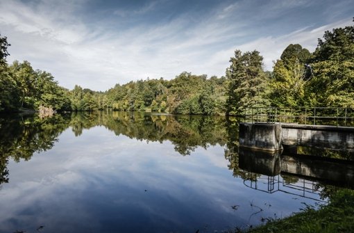 Still ruht der See im Rotwildpark: Dabei wird es jetzt auch bleiben, das Wasser wird doch nicht abgelassen. Foto: Leif Piechowski