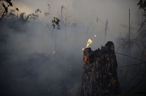 Präsident Jair Bolsonaro in der Kritik: Im ersten Jahr seiner Amtszeit  brannten im vergangenen Jahr mehr als 10.000 Quadratkilometer Urwald nieder.  Foto: dpa/Eraldo Peres