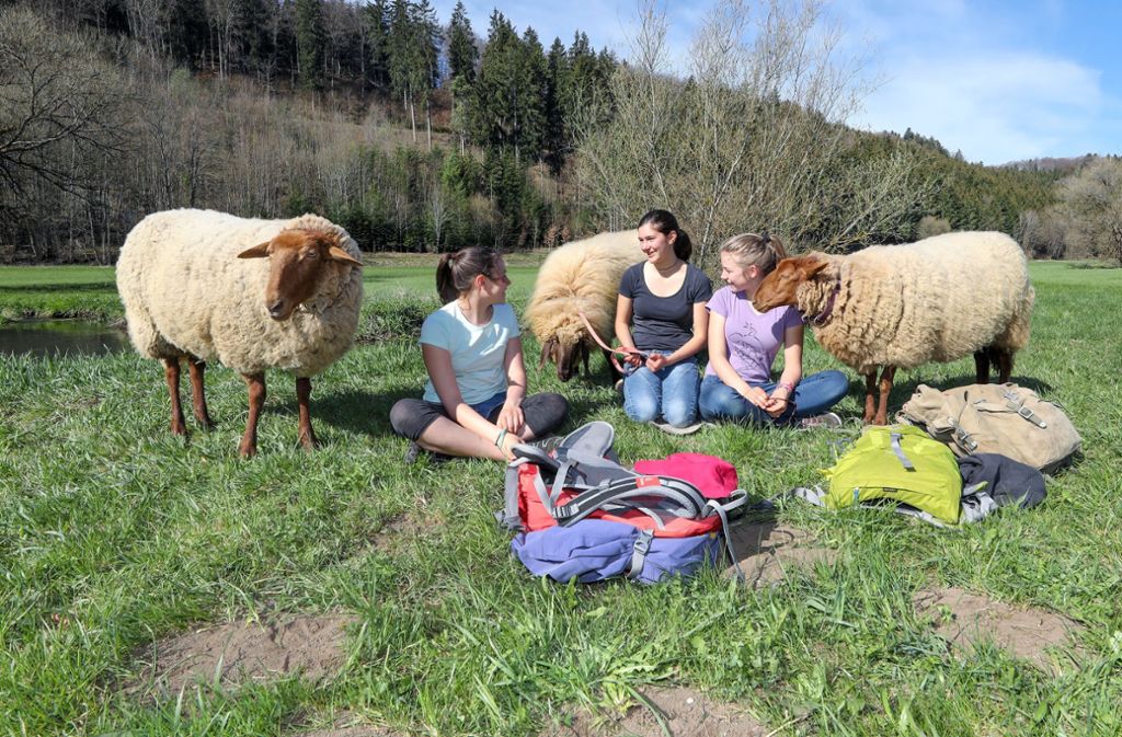 Emely, Clara und Annika (vl) mit ihren Schafen am Ostersonntag auf einer Wiese im Fehlatal. Foto: dpa