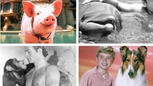 Legendäre Filmhelden: Schweinchen Babe, Delfin Flipper, Schimpanse Cheetah und Collie-Hündin Lassie. Foto: dpa