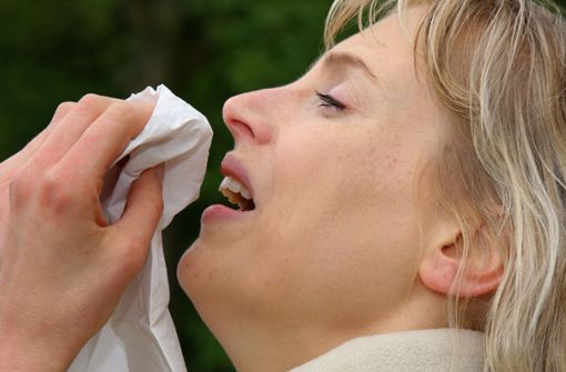 Der Pollenflug in den letzten Tagen hat vielen Allergikern zu schaffen gemacht. Foto: dpa/Heiko Wolfraum