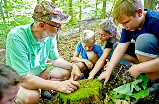 Peter Wohllebens Welt ist der Wald. Er sagt: „Kindern den Wald als spannendes Abenteuerland vorzustellen, ist das Allerbeste, denn wenn sie als Erwachsene mit dem Thema Wald zu tun haben, ist das verankert.“ Foto: Oetinger/Jens Steingässer