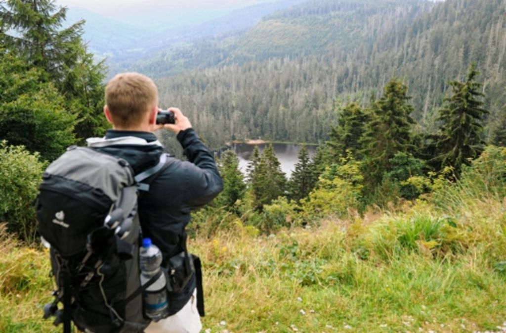 Ein Wanderer steht beim Ruhestein am Aussichtspunkt Wildseeblick. Foto: dpa