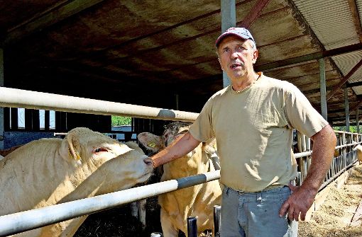 Dreimal kamen die Viehdiebe schon zu Rinderzüchter Volker Naschke. Jeder Diebstahl ist für ihn eine kleine Katastrophe. Foto: Katja Bauer