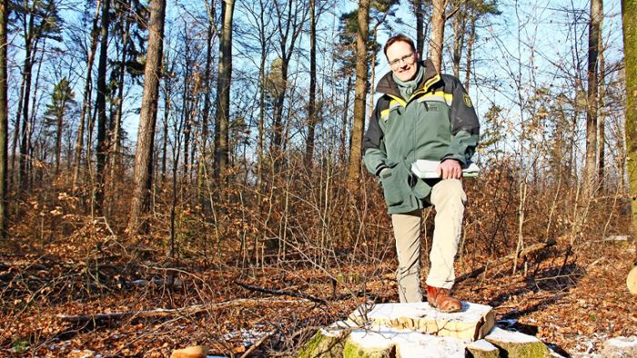 Holzernte im Naturschutzgebiet sorgt für Frust