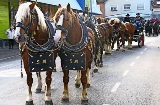 Einige Pferdegespanne sind beim Umzug durchs Bernhäuser Zentrum gezogen. Foto: Götz Schultheiss