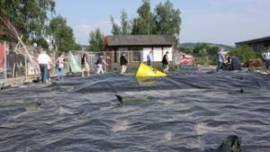 Mithilfe von Folien werden im Neckarpark Eidechsen umgesiedelt. Foto: Annina Baur