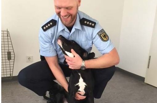 Die Bundespolizei kümmerte sich um den Hund. Foto: Bundespolizeiinspektion Stuttgart