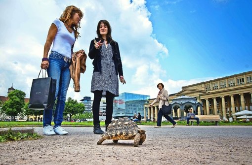 Tina Saum (rechts) bei ihrem Spaziergang mit einer Schildkröte auf dem Stuttgarter Schlossplatz im Gespräch mit einer Passantin Foto: Max Kovalenko