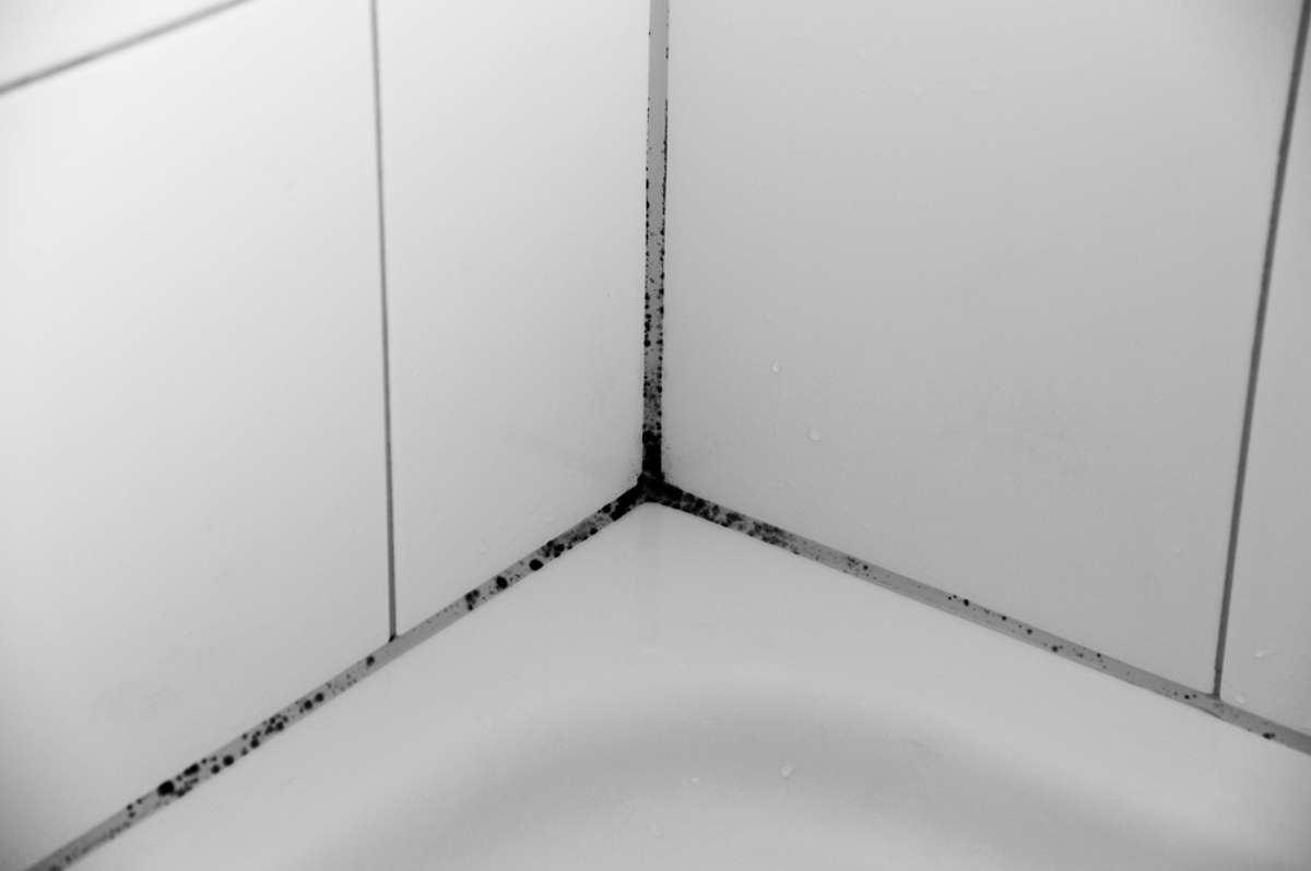 Schimmel aus Silikonfugen entfernen Dusche, Fenster, Wanne